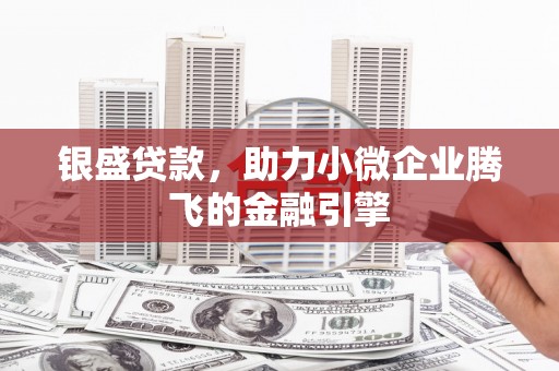 隆子银盛贷款，助力小微企业腾飞的金融引擎