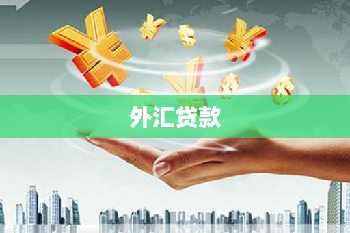 隆子外汇贷款