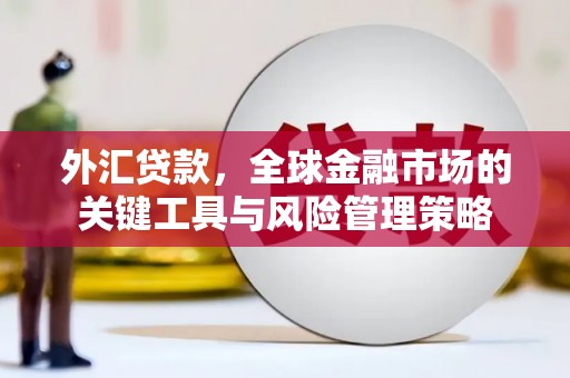 隆子外汇贷款，全球金融市场的关键工具与风险管理策略