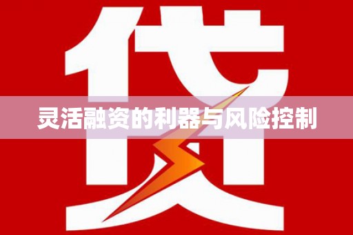 隆子灵活融资的利器与风险控制