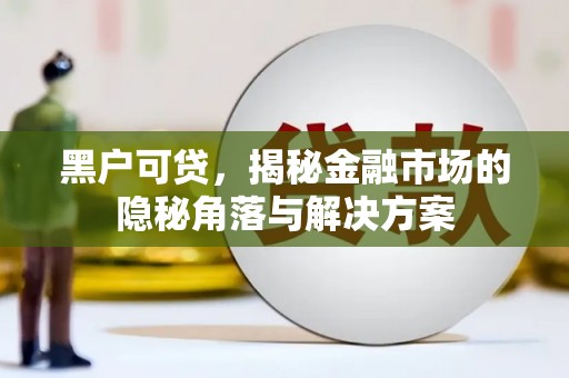 隆子黑户可贷，揭秘金融市场的隐秘角落与解决方案