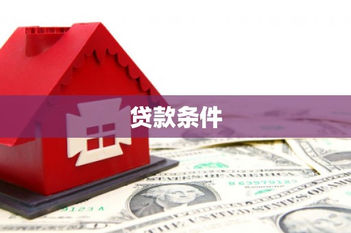 隆子贷款条件