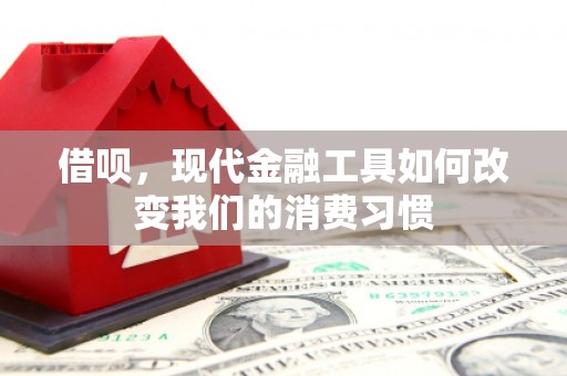 隆子借呗，现代金融工具如何改变我们的消费习惯