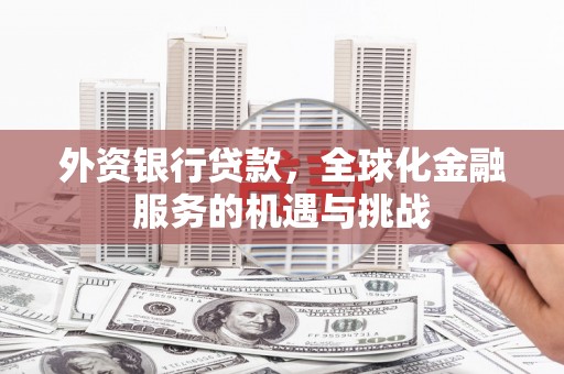 隆子外资银行贷款，全球化金融服务的机遇与挑战