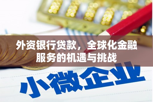 隆子外资银行贷款，全球化金融服务的机遇与挑战