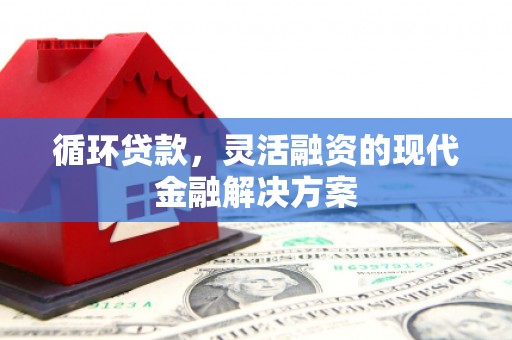 隆子循环贷款，灵活融资的现代金融解决方案