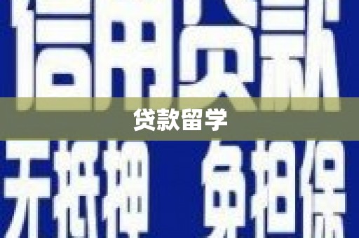 隆子贷款留学