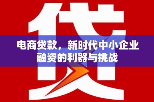 隆子电商贷款，新时代中小企业融资的利器与挑战
