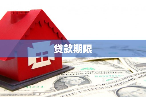 隆子贷款期限