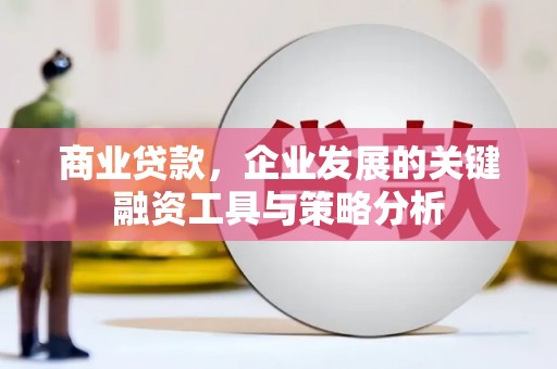 隆子商业贷款，企业发展的关键融资工具与策略分析