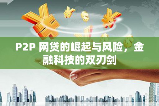 隆子P2P 网贷的崛起与风险，金融科技的双刃剑