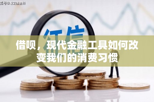 隆子借呗，现代金融工具如何改变我们的消费习惯
