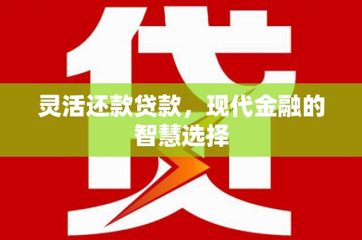 隆子灵活还款贷款，现代金融的智慧选择