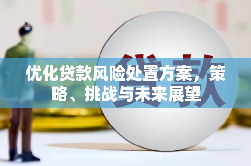 隆子优化贷款风险处置方案，策略、挑战与未来展望