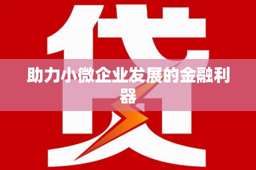 隆子助力小微企业发展的金融利器