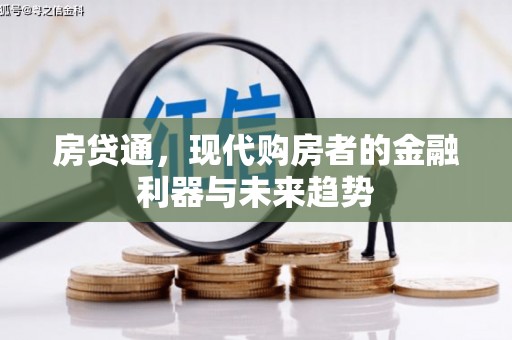 隆子房贷通，现代购房者的金融利器与未来趋势