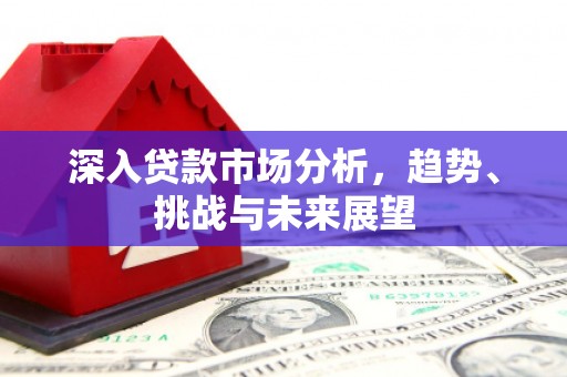 隆子深入贷款市场分析，趋势、挑战与未来展望