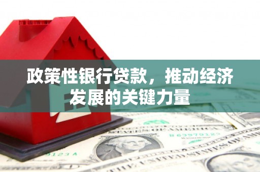 隆子政策性银行贷款，推动经济发展的关键力量