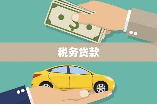 隆子税务贷款
