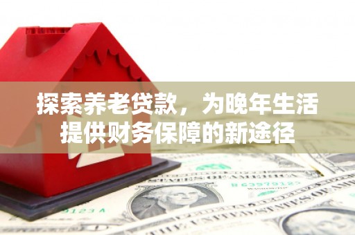 隆子探索养老贷款，为晚年生活提供财务保障的新途径