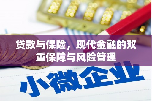 隆子贷款与保险，现代金融的双重保障与风险管理