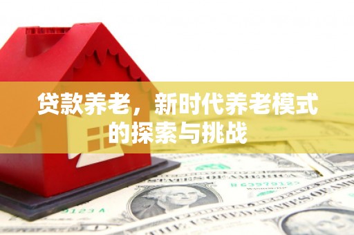 隆子贷款养老，新时代养老模式的探索与挑战