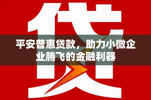 隆子平安普惠贷款，助力小微企业腾飞的金融利器