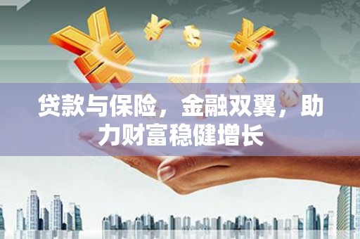 隆子贷款与保险，金融双翼，助力财富稳健增长