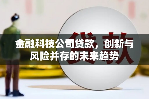 隆子金融科技公司贷款，创新与风险并存的未来趋势