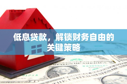 隆子低息贷款，解锁财务自由的关键策略