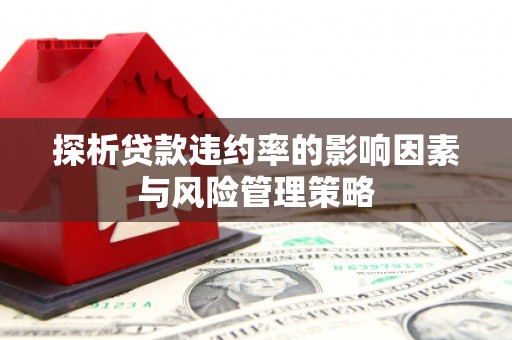 隆子探析贷款违约率的影响因素与风险管理策略