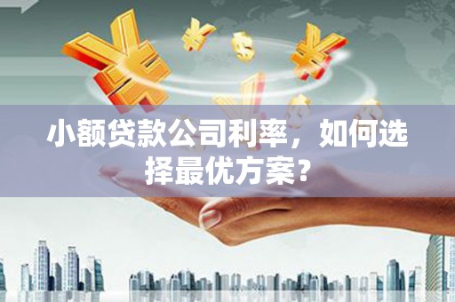 隆子小额贷款公司利率，如何选择最优方案？