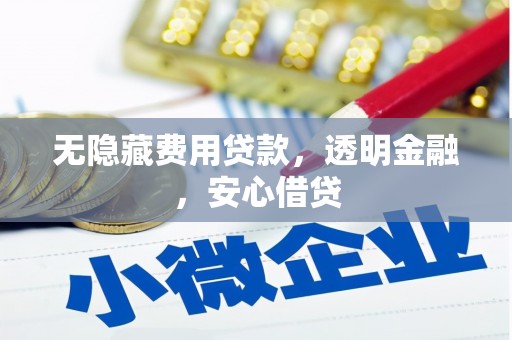 隆子无隐藏费用贷款，透明金融，安心借贷