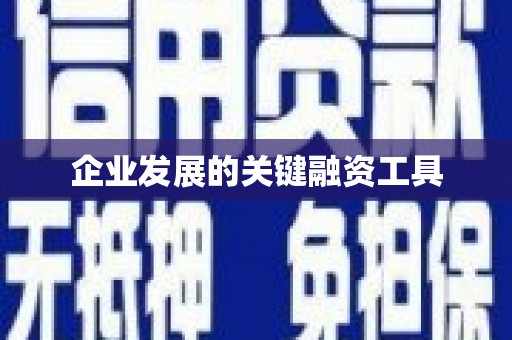 隆子企业发展的关键融资工具