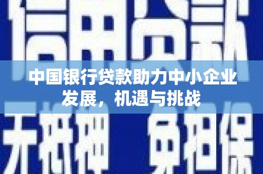 隆子中国银行贷款助力中小企业发展，机遇与挑战