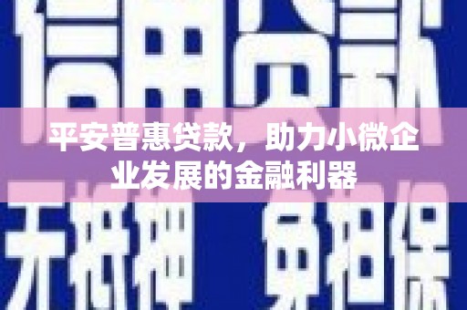 隆子平安普惠贷款，助力小微企业发展的金融利器