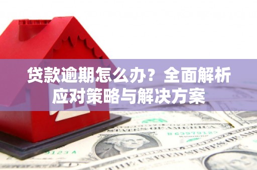 隆子贷款逾期怎么办？全面解析应对策略与解决方案