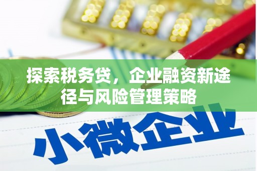 隆子探索税务贷，企业融资新途径与风险管理策略