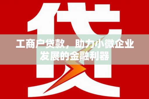 隆子工商户贷款，助力小微企业发展的金融利器