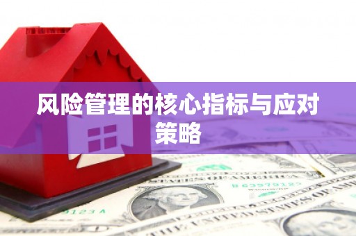 隆子风险管理的核心指标与应对策略