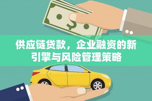 隆子供应链贷款，企业融资的新引擎与风险管理策略