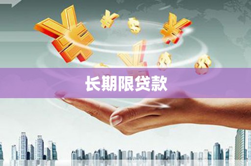 隆子长期限贷款