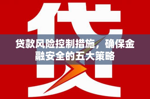 隆子贷款风险控制措施，确保金融安全的五大策略