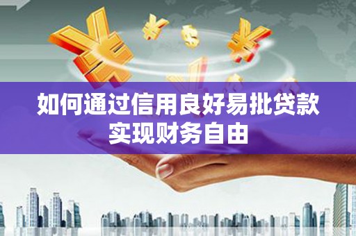 隆子如何通过信用良好易批贷款实现财务自由