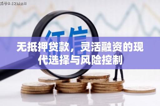 隆子无抵押贷款，灵活融资的现代选择与风险控制
