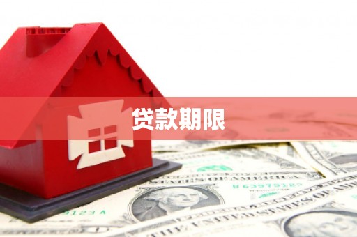 隆子贷款期限