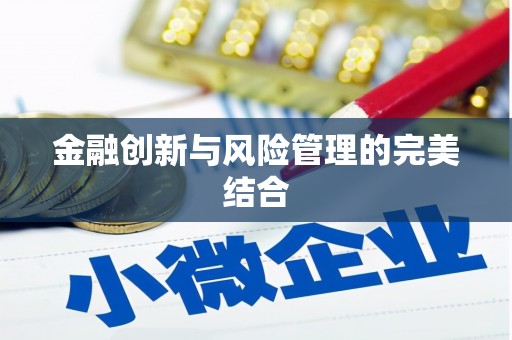 隆子金融创新与风险管理的完美结合
