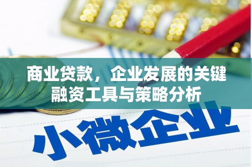 隆子商业贷款，企业发展的关键融资工具与策略分析