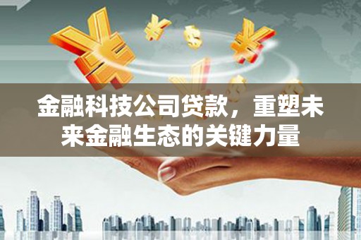 隆子金融科技公司贷款，重塑未来金融生态的关键力量