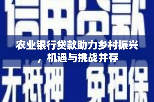 隆子农业银行贷款助力乡村振兴，机遇与挑战并存